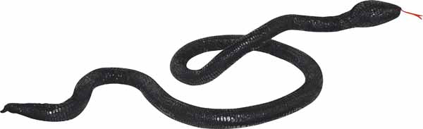 Posable Snake Decoration