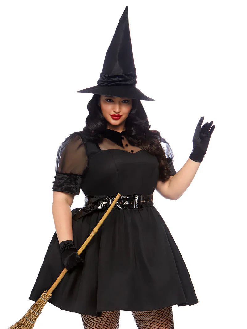 Bewitching Plus Size Witch Costume