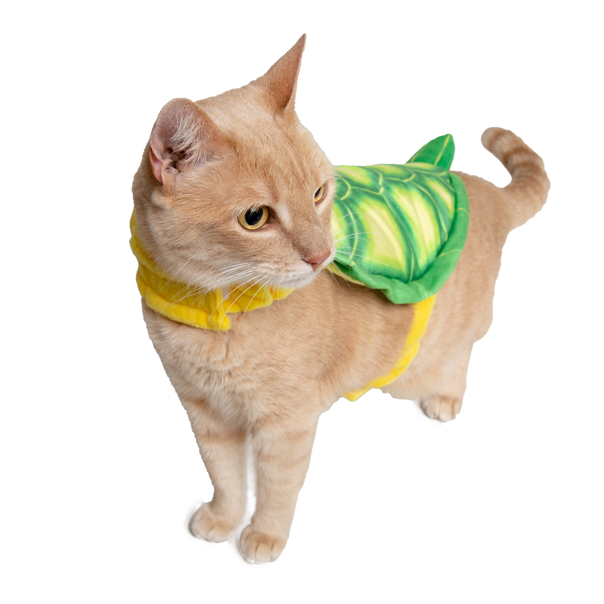 Turtle Pet Costume