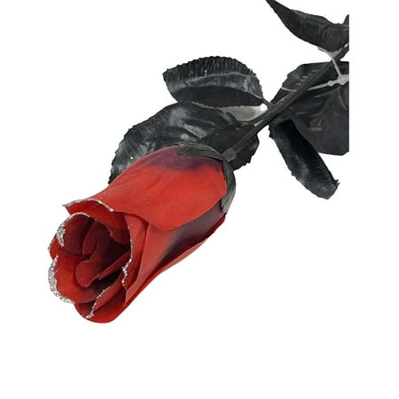 Product image from UPC 762543815687