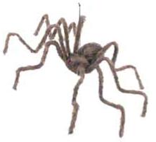 Hairy Posable Spider Decoration
