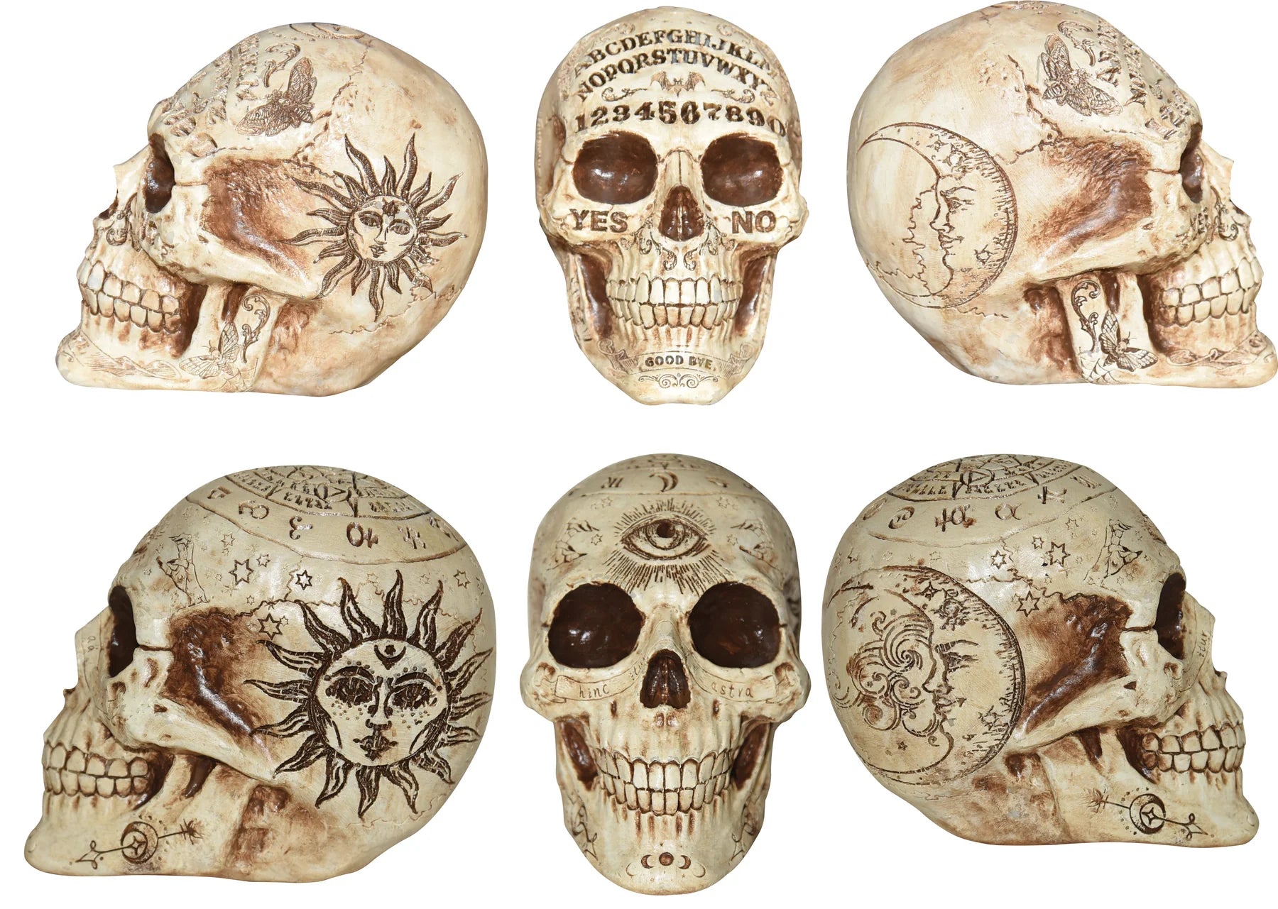 Fortune Telling Skull Decor