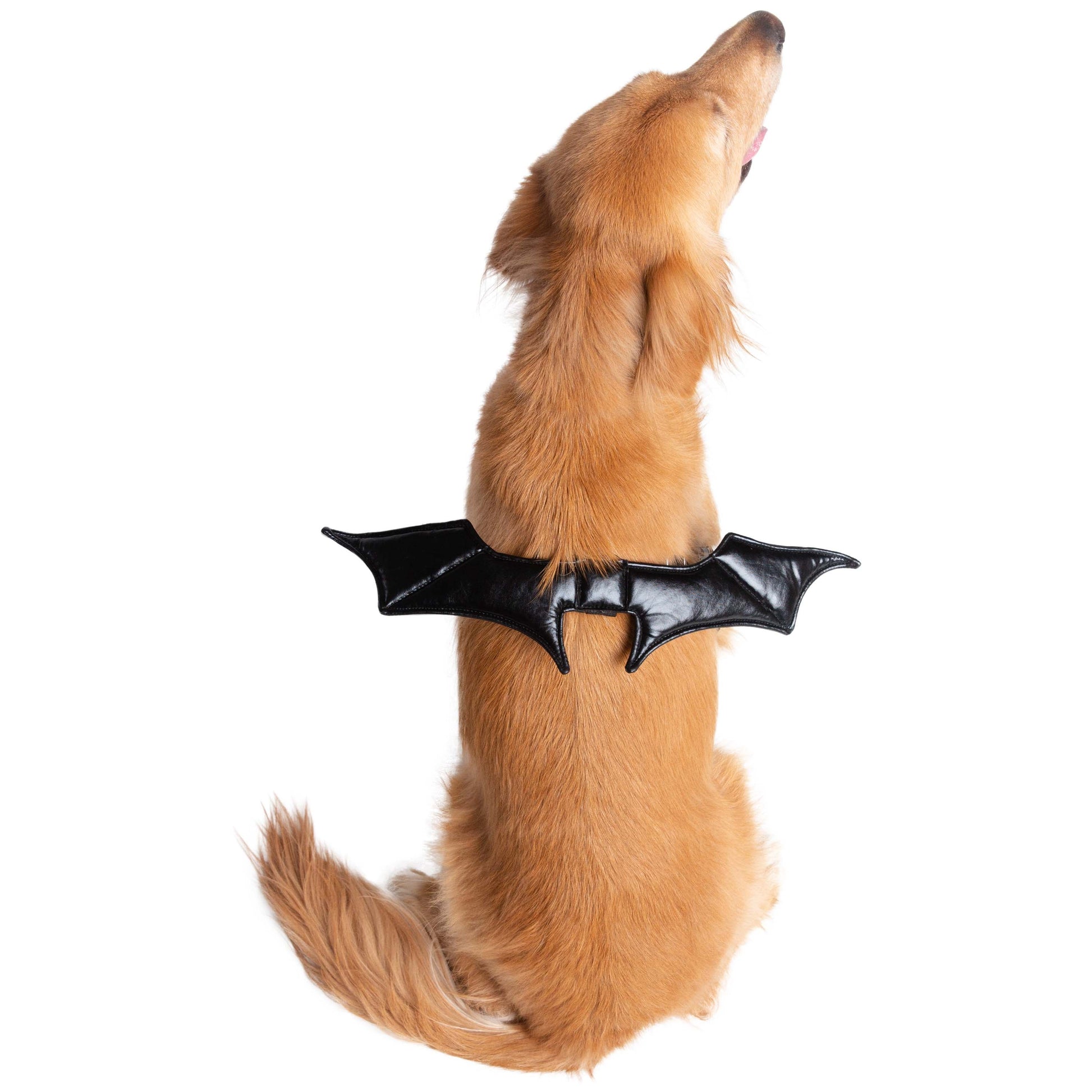 Bat Wings Harness Attachment for Dogs