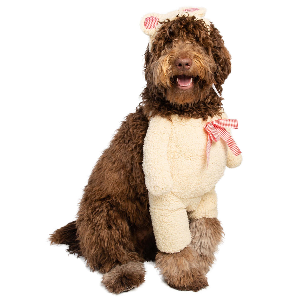 Walking Teddy Bear Dog Outfit