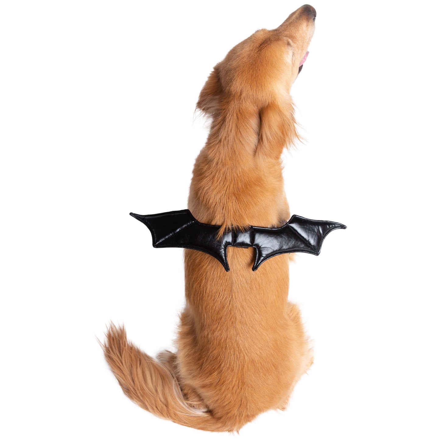BAT HARNESS ATTACHMENT COSTUME FOR DOGS