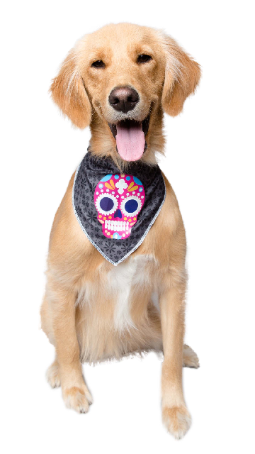 Glow-In-The-Dark Skull Dog Bandana - SoulofHalloween