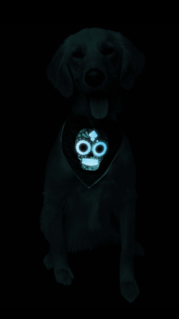 Glow-In-The-Dark Skull Dog Bandana - SoulofHalloween