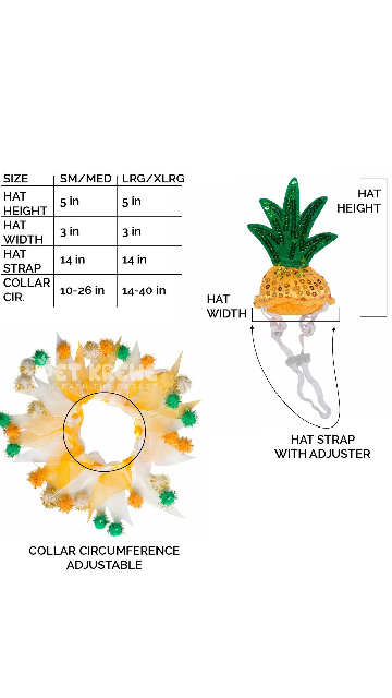 Pineapple Hat And Collar Dog Costume - SoulofHalloween
