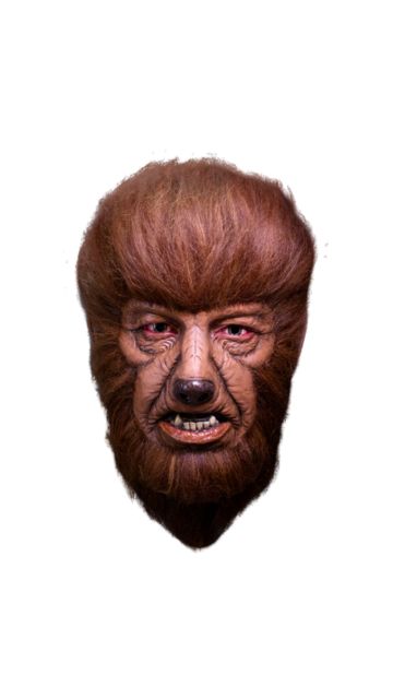 THE WOLFMAN MASK