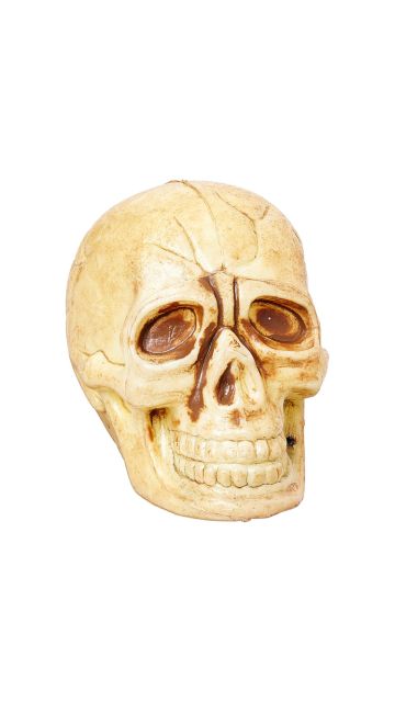 Antique Skull Decoration Bag