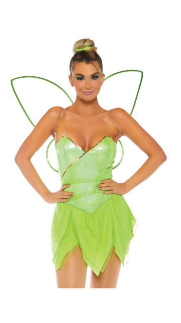 Enchanted Pixie Fairy Costume