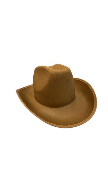 ADULT'S RODEO BROWN COWBOY HAT