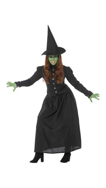 Wicked Witch Women's Costume