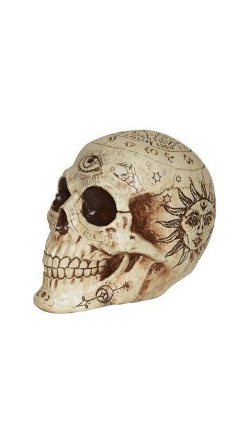 7" FORTUNE TELLING SKULL