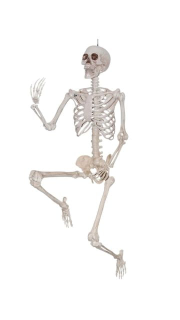 Titan Skeleton Decoration