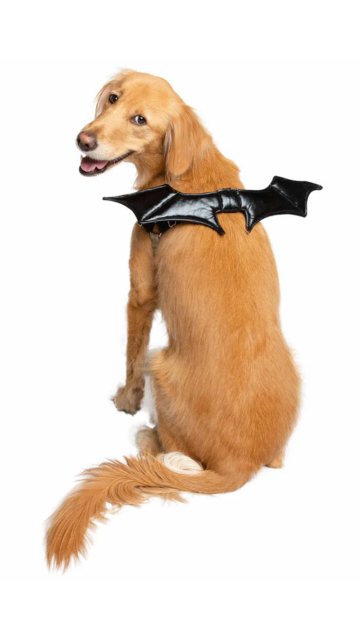 BAT HARNESS ATTACHMENT COSTUME FOR DOGS