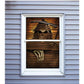 36" Window Creeper Assortment