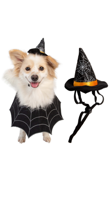 Witch Pet Costume