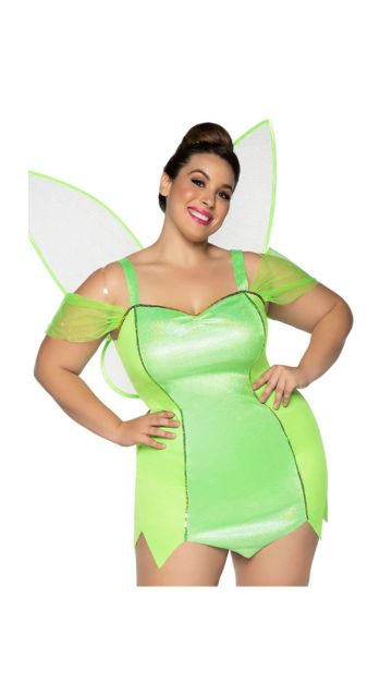 Plus Pretty Pixie With Wings Costume