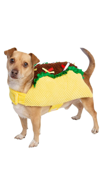 Taco Pet Costume