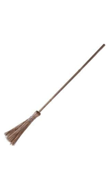 Witch Broom - SoulofHalloween