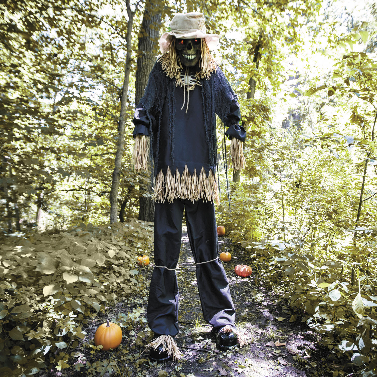 Lifting Scarecrow Decoration
