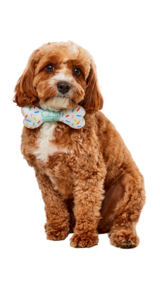 Sprinkle Party Dress for Pets