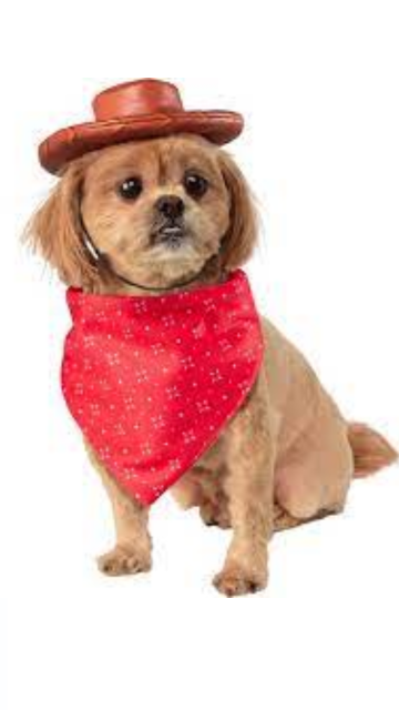 Toy Story Woody Pet Costume Bundle