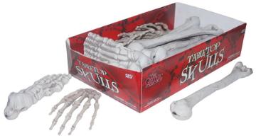 Tabletop Skeleton Bone Display