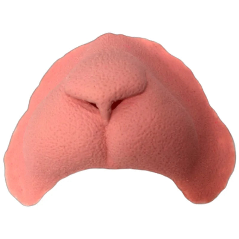 Cat Nose Latex Accessory
