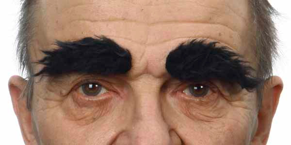 Eyebrow Costume Accessories