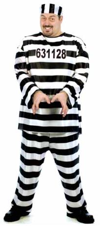 Plus-Size Jailbird Costume