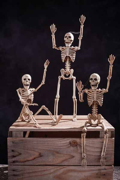 14" POSABLE SKELETON MULT OF 12 - DISPLY