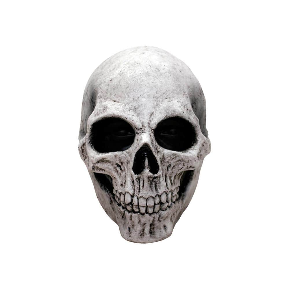 Product image from UPC 886390261562