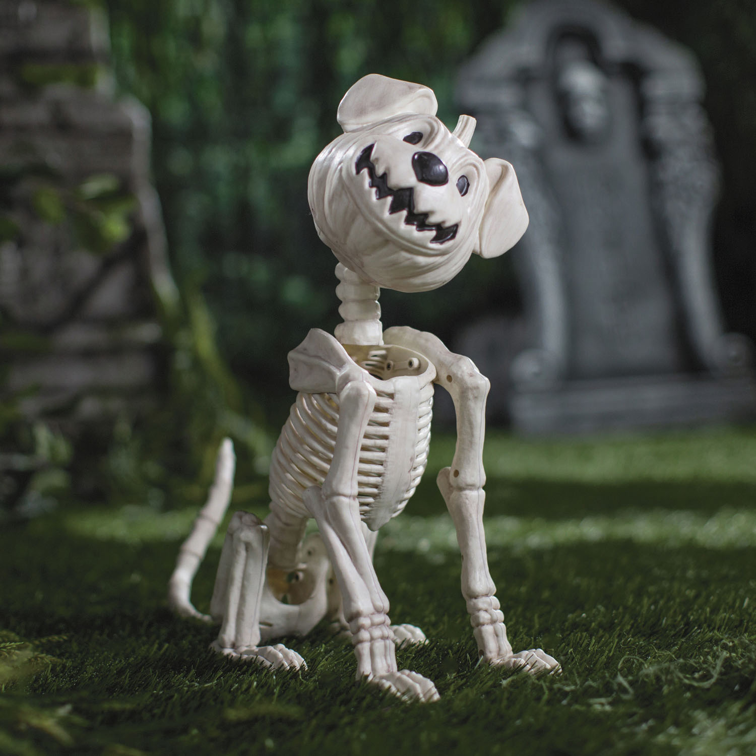 Pumpkin Skeleton Dog