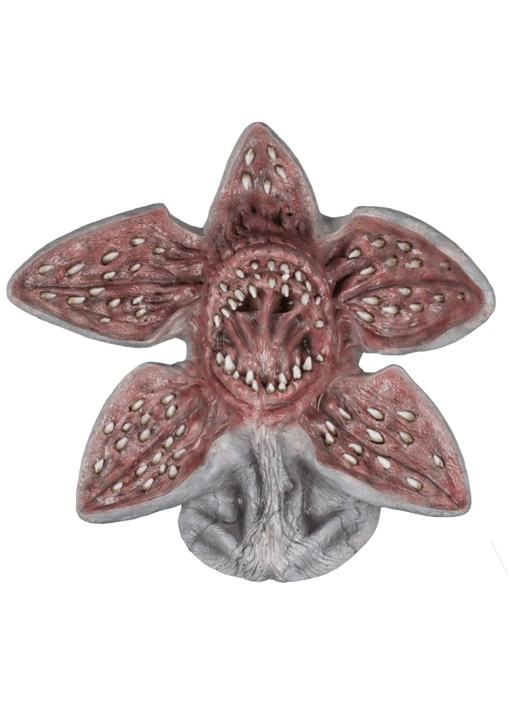 Product image from UPC 886390103626