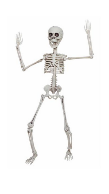 Poseable Skeleton Decoration
