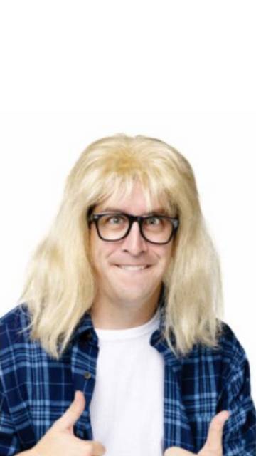 Garth Alpar Wig and Glasses Set