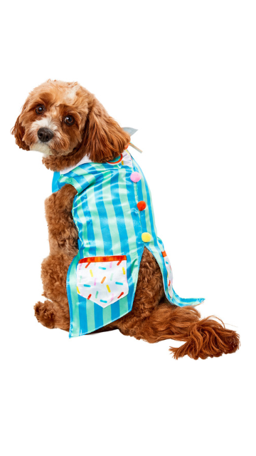 Birthday Stripe Vest Pet Costume - SoulofHalloween