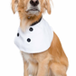Top Chef Uniform Dog Costume - SoulofHalloween