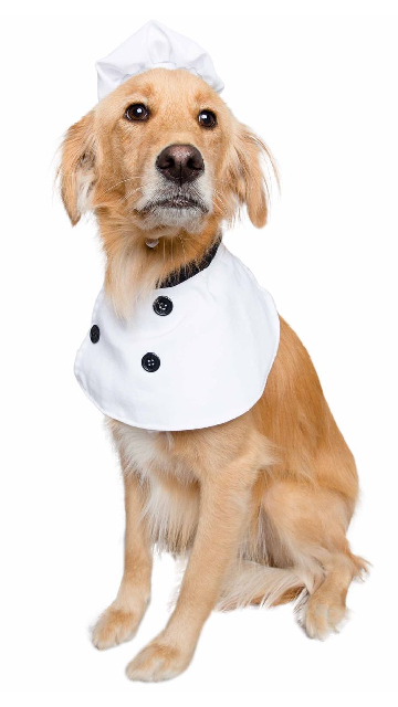 Top Chef Uniform Dog Costume - SoulofHalloween