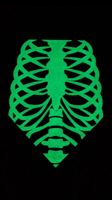 Glow-In-The-Dark Skeleton Cat Or Dog Bandana - SoulofHalloween
