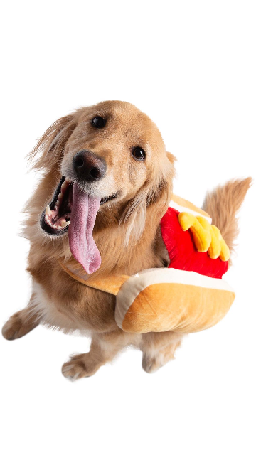 Hot Dog Pet Costume - SoulofHalloween