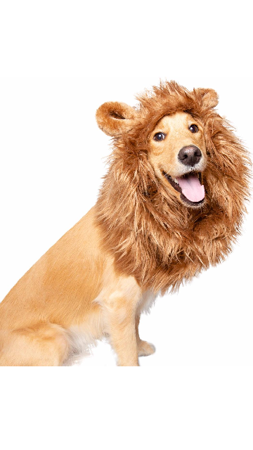 Lion Mane Dog Costume - SoulofHalloween