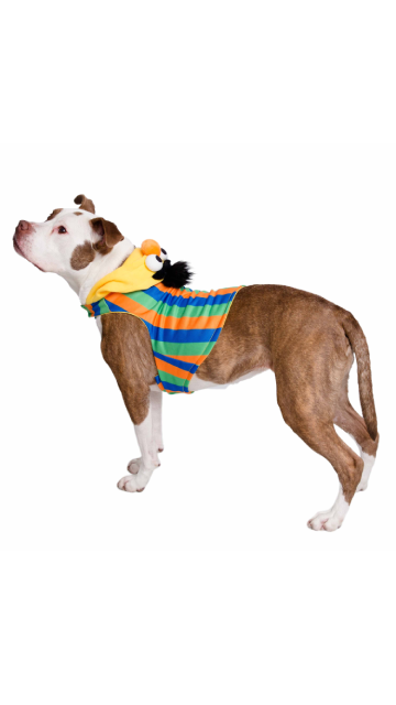 Sesame Street Bert Dog Hoodie - SoulofHalloween