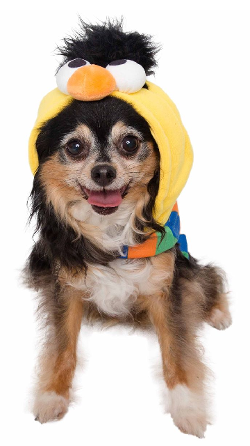 Sesame Street Bert Dog Hoodie - SoulofHalloween