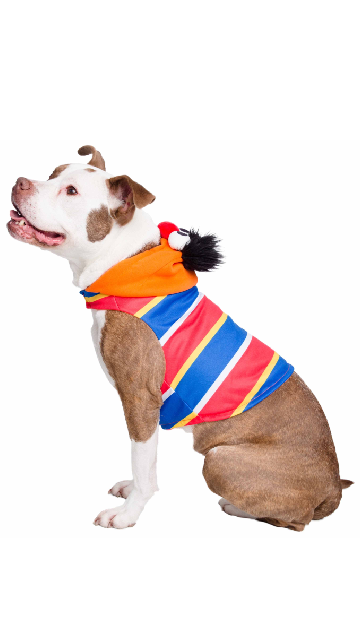 Sesame Street Ernie Dog Hoodie - SoulofHalloween