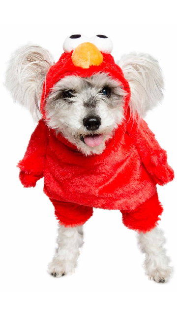 Sesame Street Elmo Dog Costume - SoulofHalloween