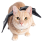 Bat Harness Costume For Cats - SoulofHalloween