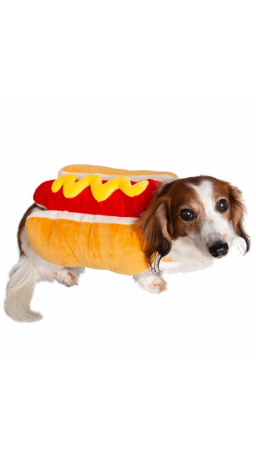 Hot Dog Pet Costume - SoulofHalloween